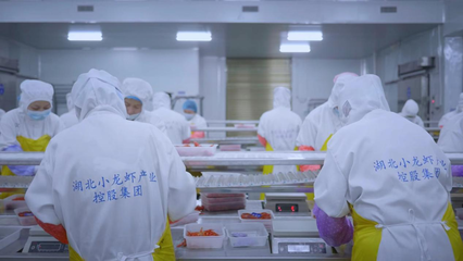 全國首個小龍蝦加工基地揭牌 全鏈賦能‘蝦’經濟，助力鄉村振興與技術推廣